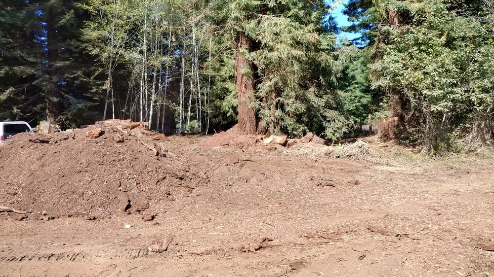 Professional landscaping services in Eureka, CA by Custom Stump Grinders