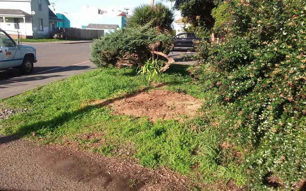 Affordable garden landscaping for beautiful yards across Eureka, CA - Custom Stump Grinders