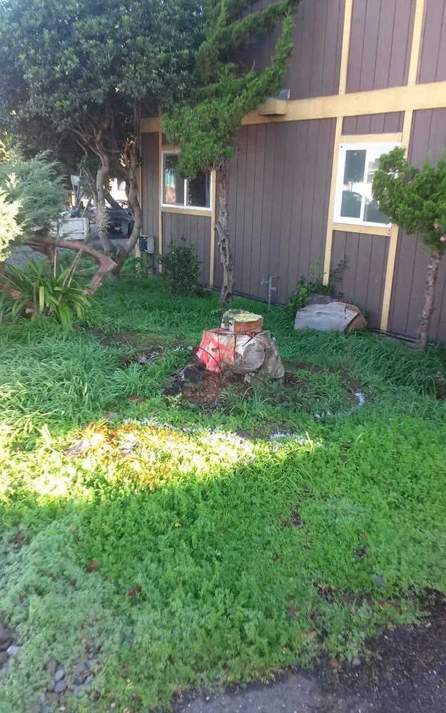 Trusted landscaping services for homes across Eureka, CA - Custom Stump Grinders