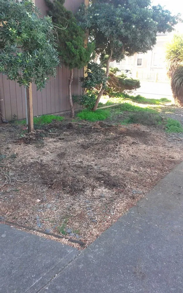 Custom landscaping services in Eureka, CA by Custom Stump Grinders