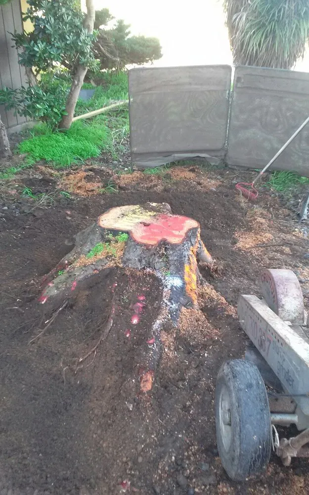 Trusted yard cleanup service with custom design across Eureka, CA - Custom Stump Grinders