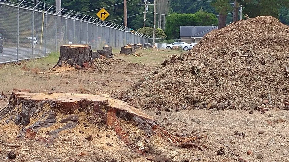 Local garden landscaping near you across Eureka, CA - Custom Stump Grinders