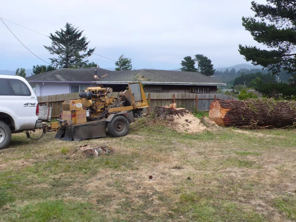 Professional outdoor landscaping for year-round maintenance across Eureka, CA - Custom Stump Grinders