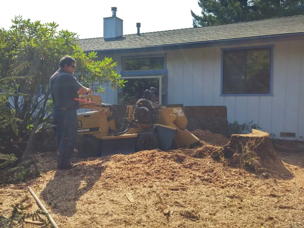 Custom lawn mowing service in Eureka, CA by Custom Stump Grinders