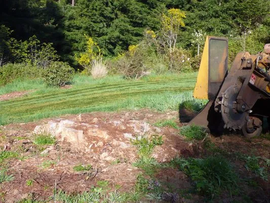 Custom Stump Grinders Logo