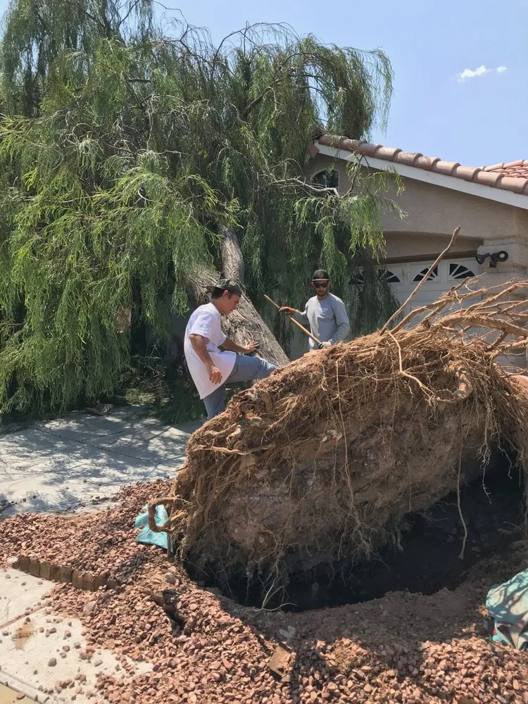 Custom landscaping services in Las Vegas, NV - Custom Touch Landscape