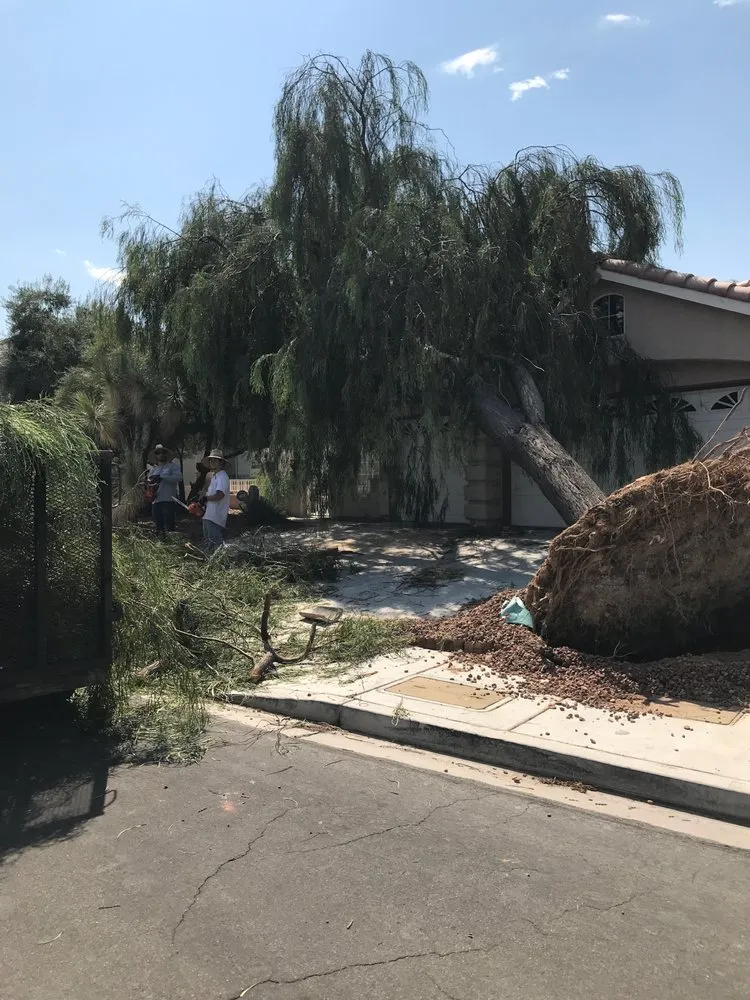 Custom landscape installation in Las Vegas, NV - Custom Touch Landscape