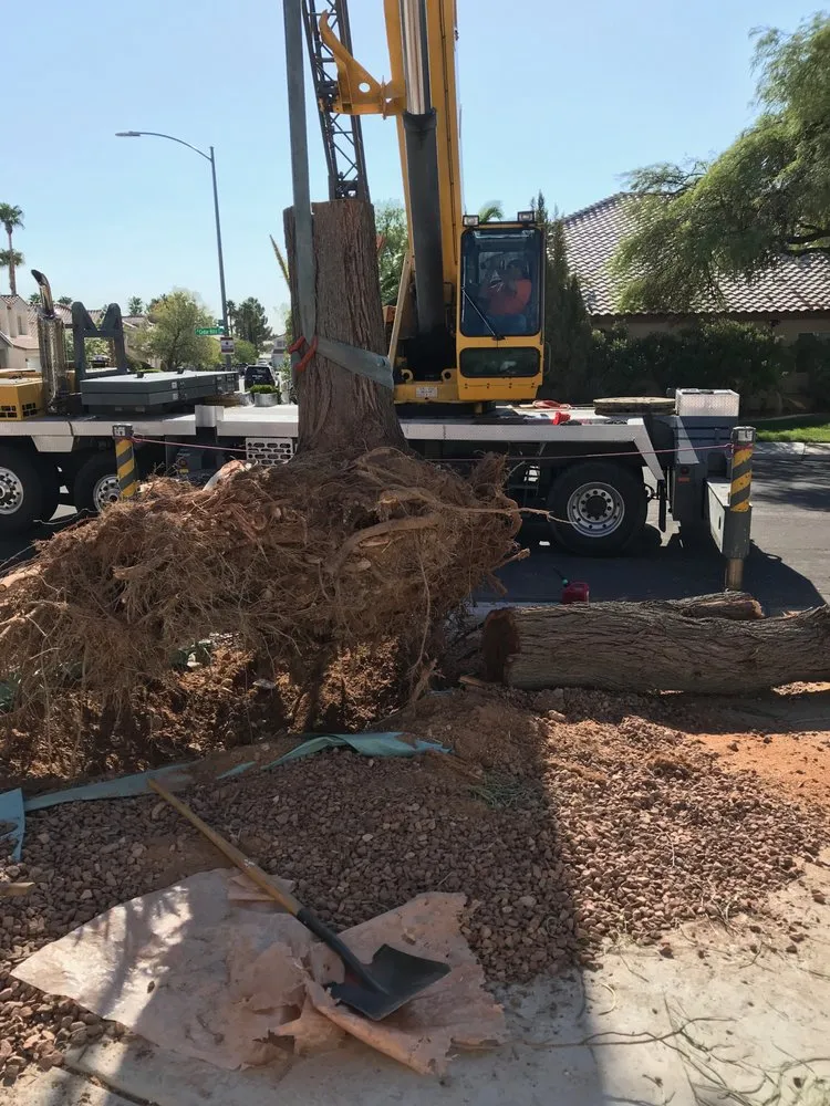 Expert landscaping services for outdoor upgrades in Las Vegas, NV by Custom Touch Landscape