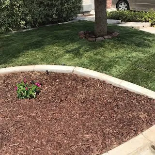 Local landscaping services in Las Vegas, NV - Custom Touch Landscape