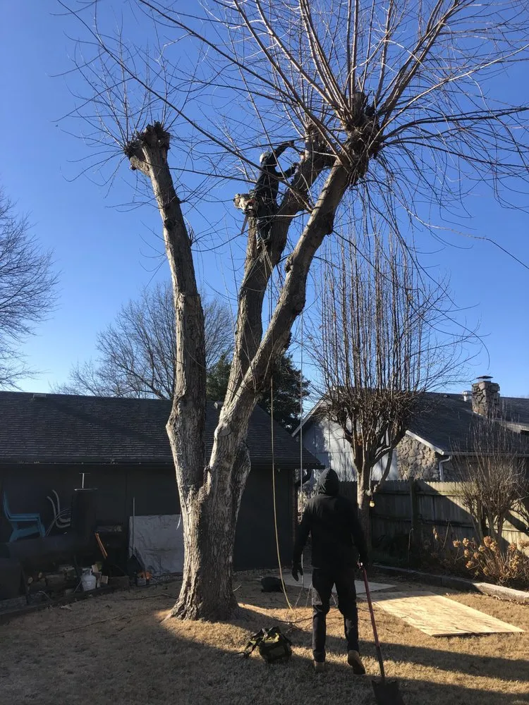 Top-rated yard maintenance in Broken Arrow, OK - Custom Tree Care & Landscaping