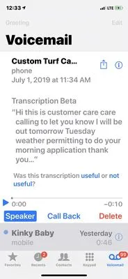 Custom Turf Care Logo