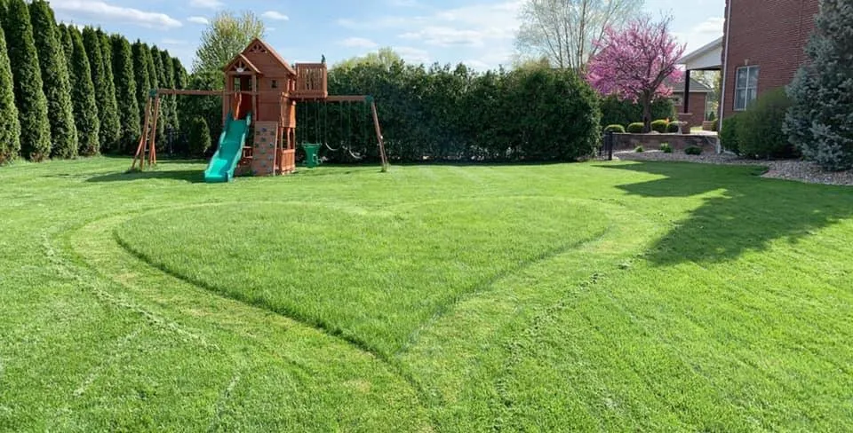 Top-rated yard cleanup service near you in Quincy, IL by Custom Turf