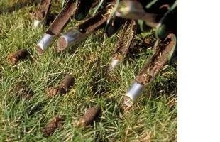 Local landscape installation in Quincy, IL - Custom Turf