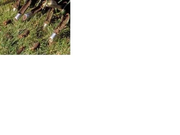 Professional lawn mowing service in Quincy, IL - Custom Turf