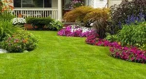Custom yard cleanup service in Colleyville, TX by Custom Turf Services