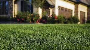 Reliable landscape design with custom design in Colleyville, TX by Custom Turf Services