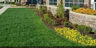 Professional yard maintenance in Colleyville, TX - Custom Turf Services