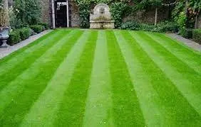 Custom garden landscaping experts serving Colleyville, TX - Custom Turf Services
