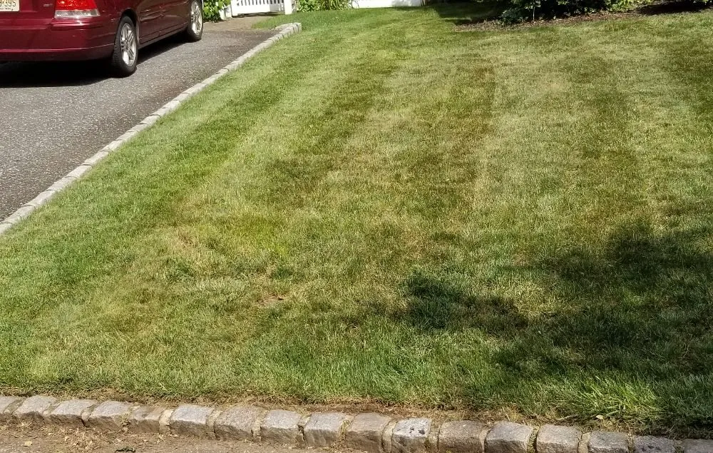 Custom yard cleanup service for residential properties across Elizabeth, NJ - Customer First Lawn Service