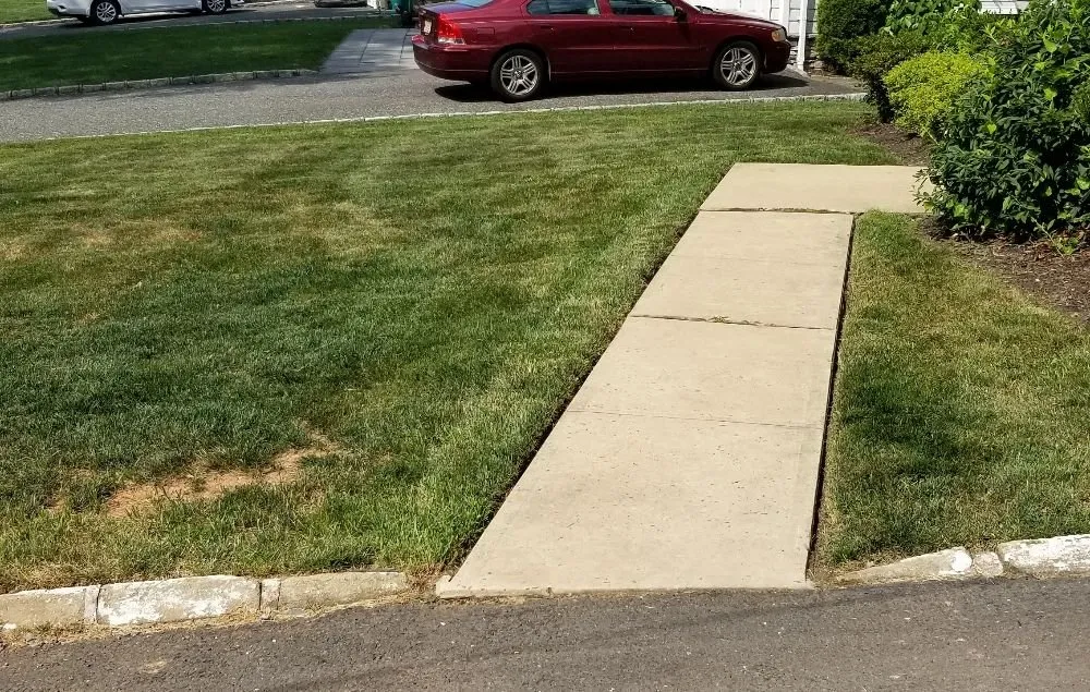Reliable yard cleanup service in Elizabeth, NJ - Customer First Lawn Service