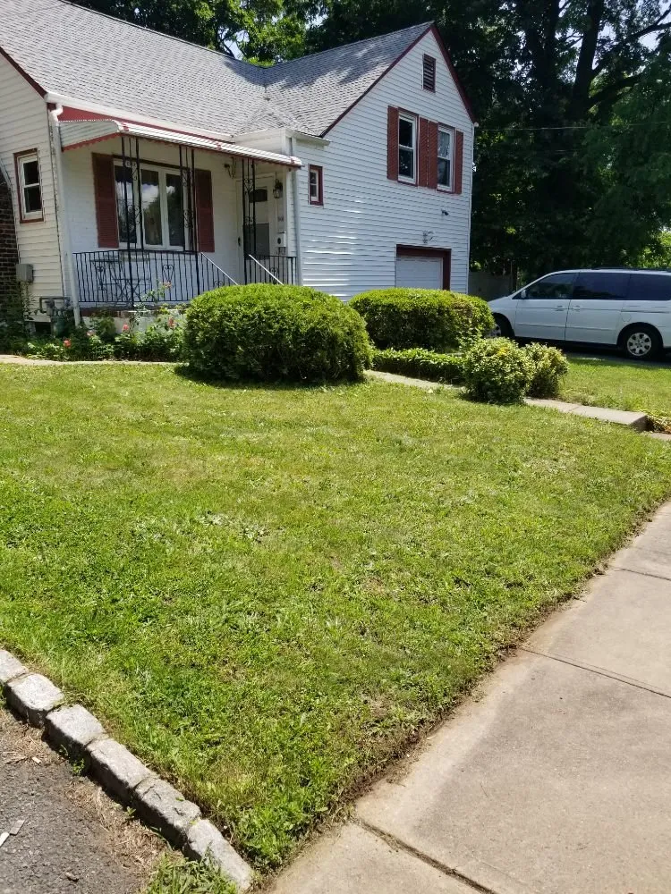 Trusted landscaping services for year-round maintenance in Elizabeth, NJ by Customer First Lawn Service