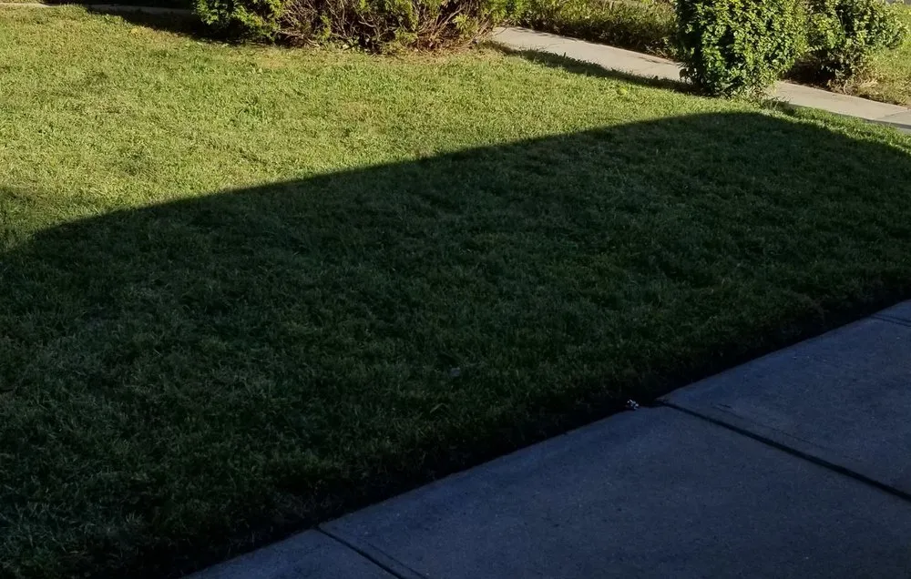 Local landscape design experts serving Elizabeth, NJ - Customer First Lawn Service