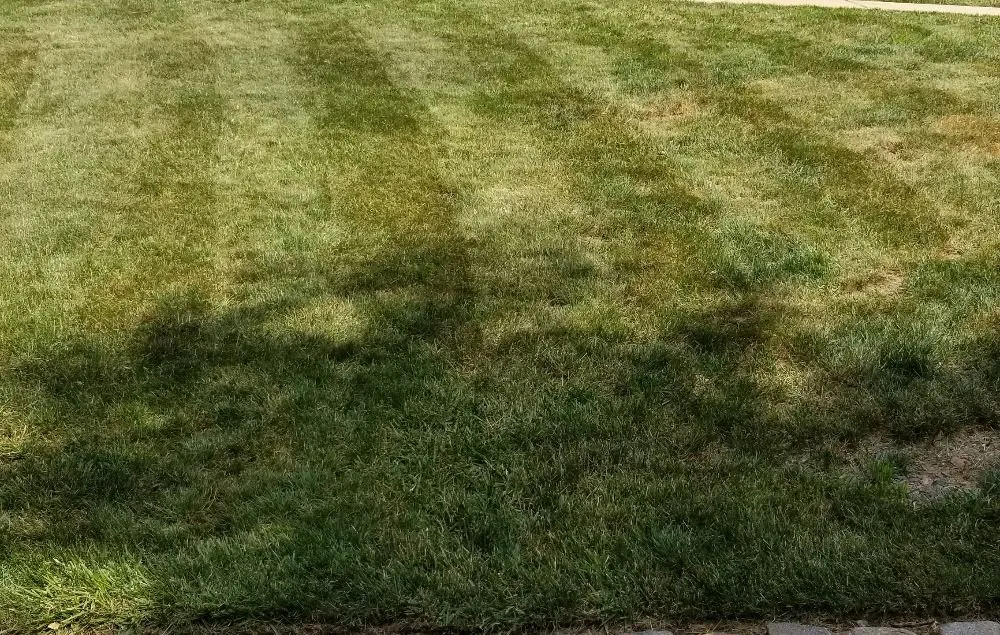 Custom lawn mowing service in Elizabeth, NJ by Customer First Lawn Service