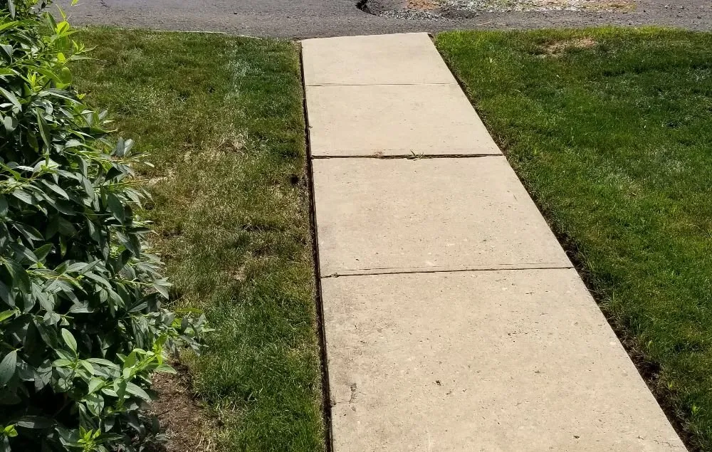 Expert lawn care service with custom design across Elizabeth, NJ - Customer First Lawn Service