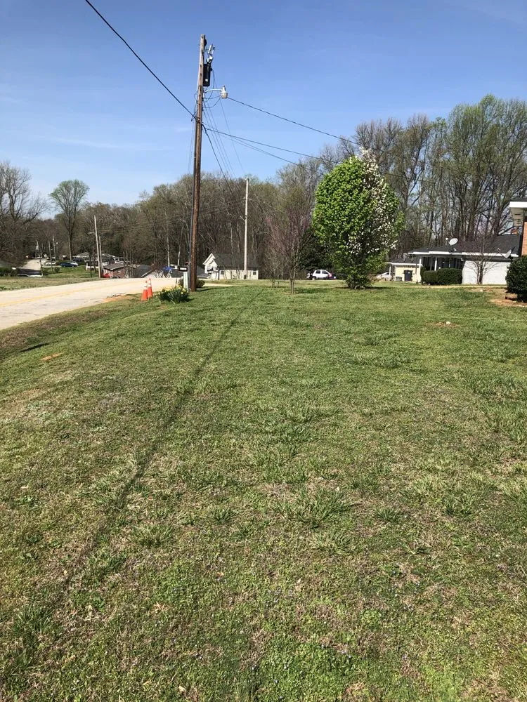 Top-rated residential landscaping in Piedmont, SC by Customer Lawn Care Services