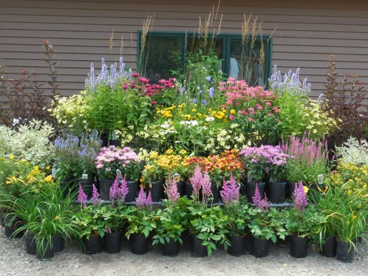 Professional lawn mowing service in Rhinelander, WI - Customer's Choice Landscaping