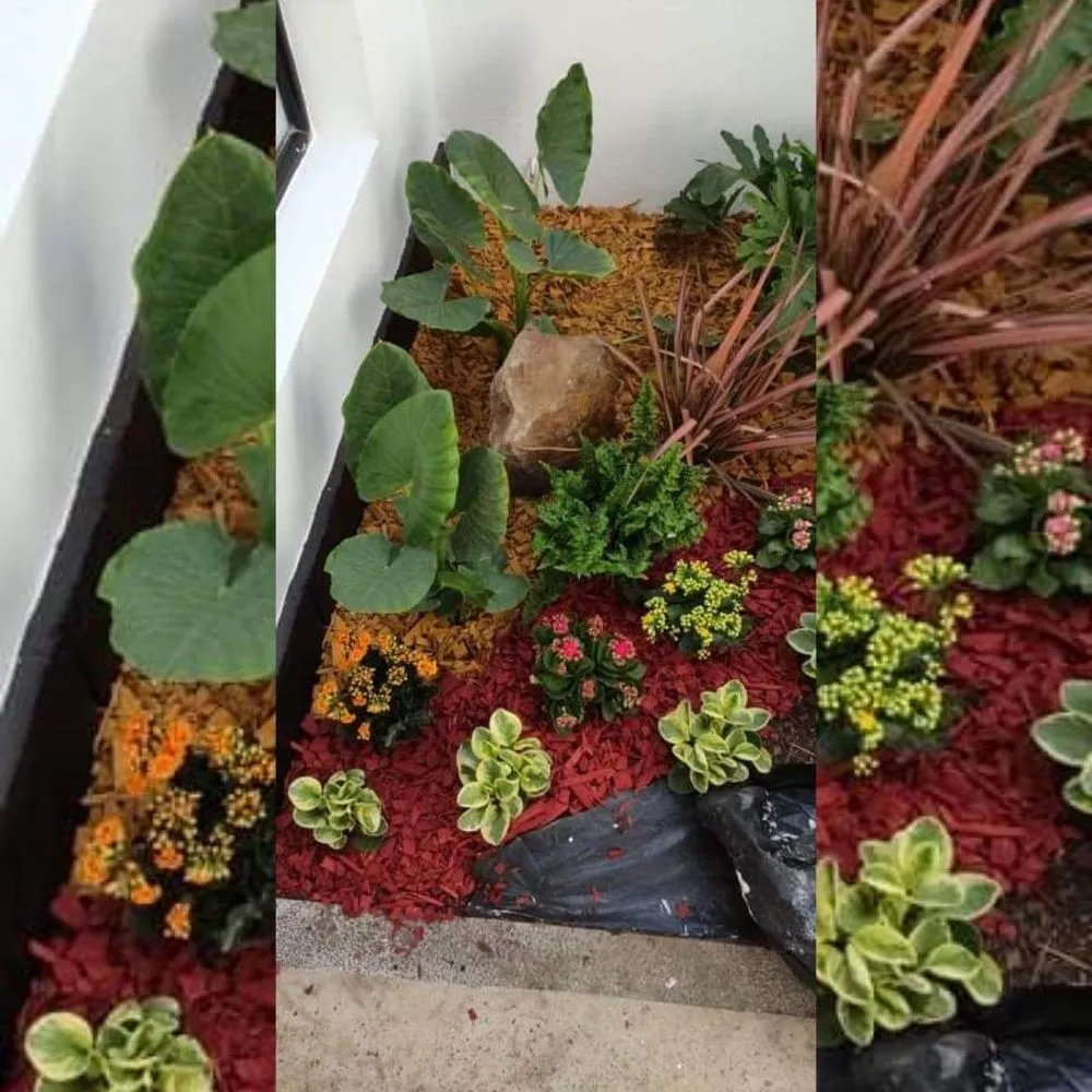 Top-rated landscaping services experts serving Naples, FL - Customized lawn