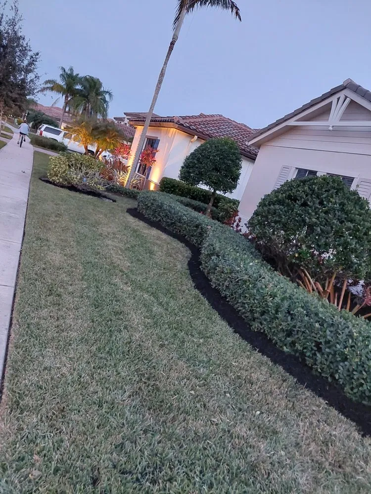 Affordable yard cleanup service in Naples, FL by Customized lawn