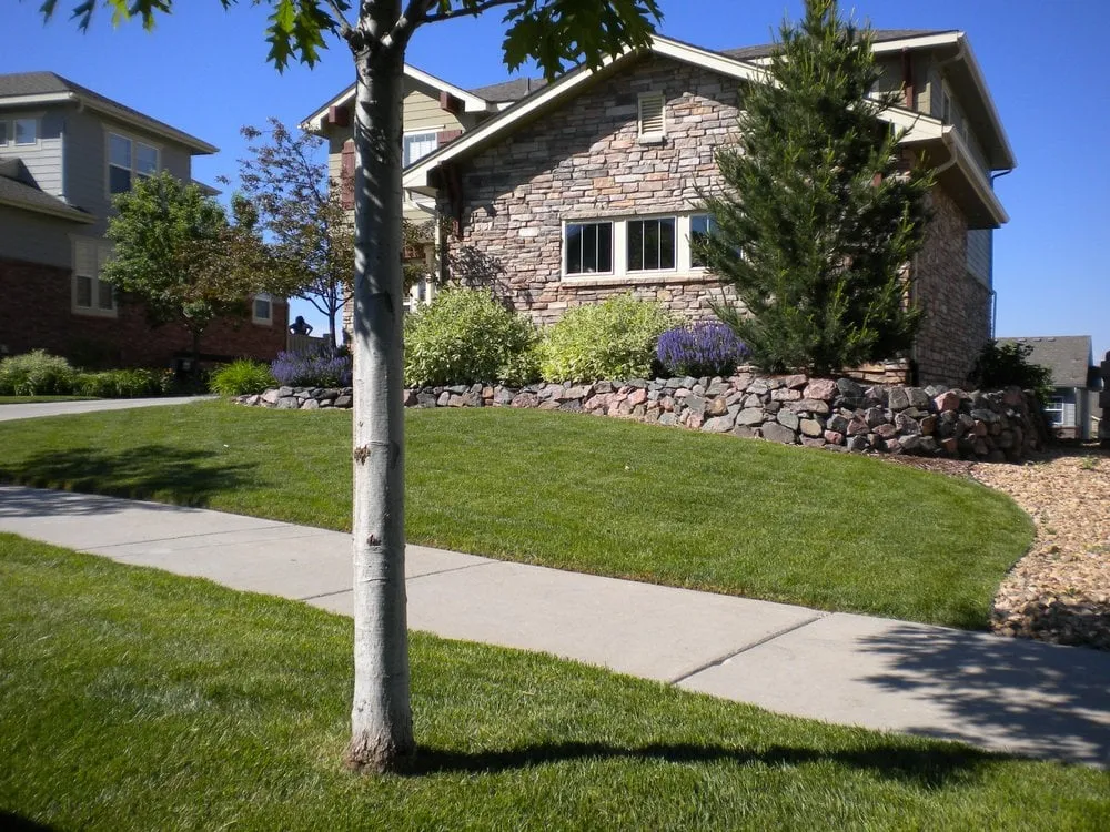 Reliable lawn care service in Aurora, CO - CustomScapes of the rockies