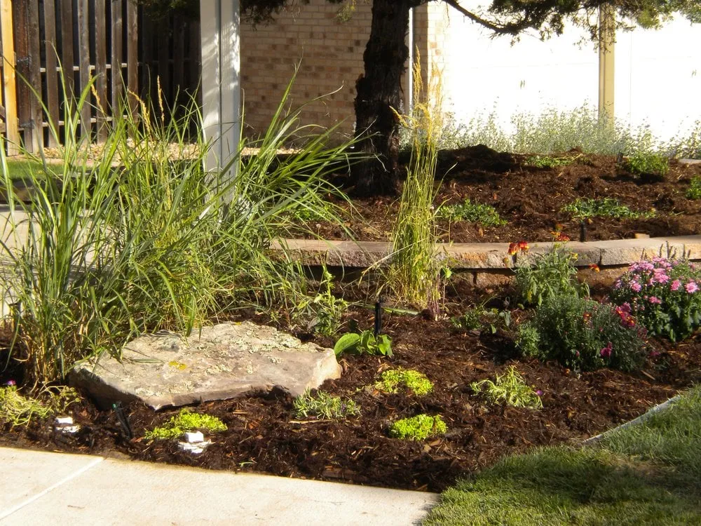 Top-rated lawn mowing service in Aurora, CO by CustomScapes of the rockies