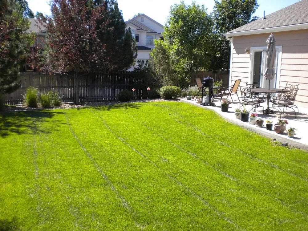 Top-rated landscape design for outdoor upgrades in Aurora, CO by CustomScapes of the rockies