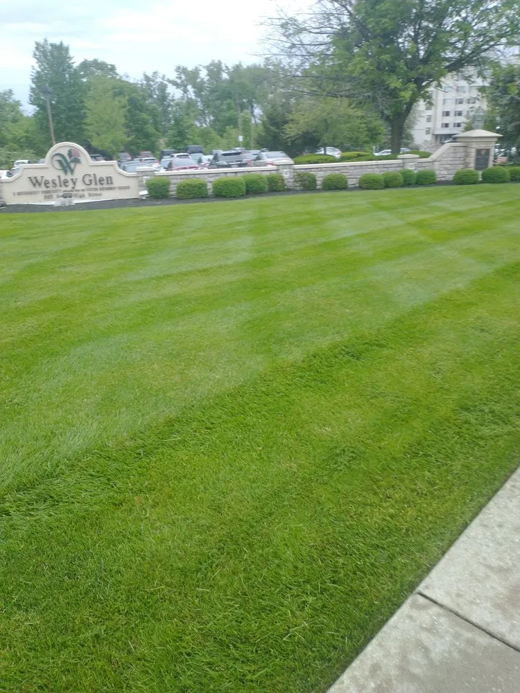 Expert yard cleanup service in Orient, OH by Customz Lawn Care