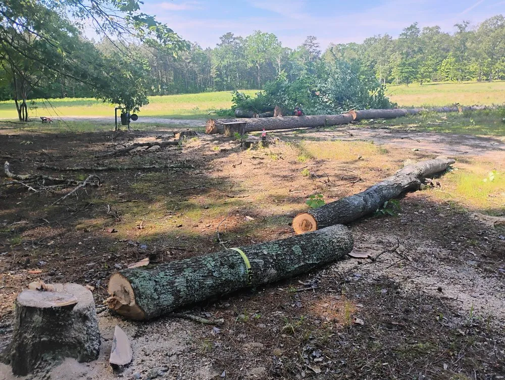 Professional garden landscaping near you across Hot Springs, AR - Cut & Care Tree Removal and Landscaping