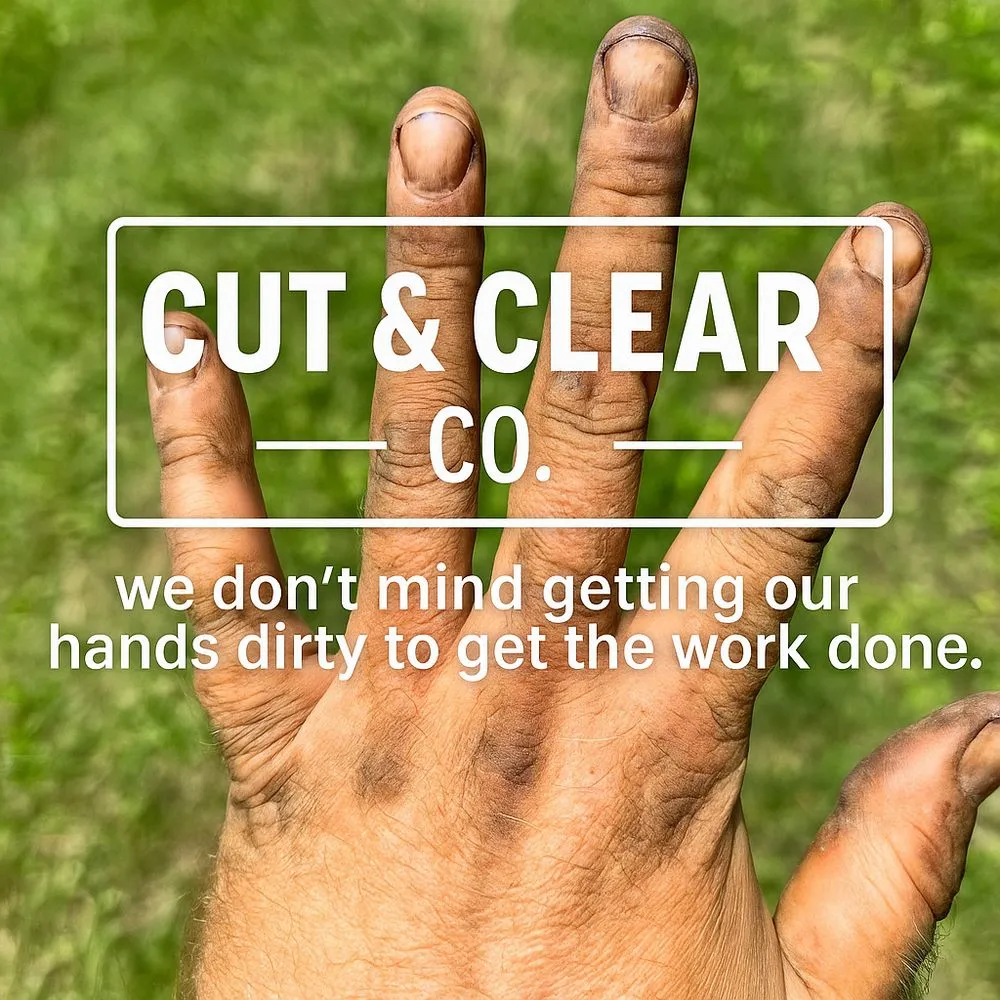 Affordable landscape installation in Normal, IL by Cut & Clear