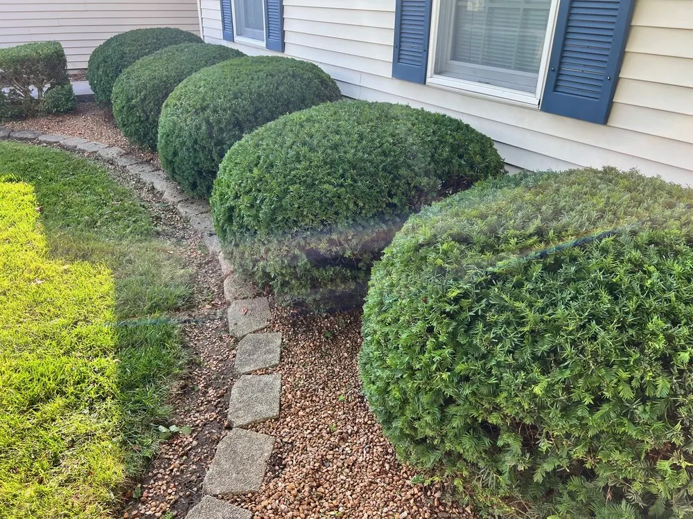 Trusted residential landscaping near you across Normal, IL - Cut & Clear