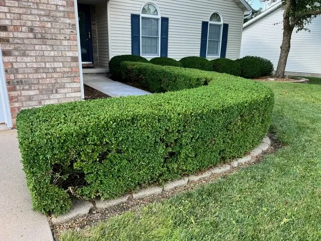 Top-rated garden landscaping experts serving Normal, IL - Cut & Clear