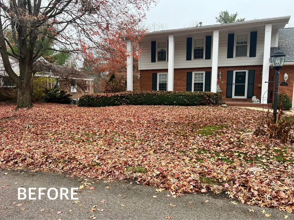 Professional landscape design with custom design in Normal, IL by Cut & Clear