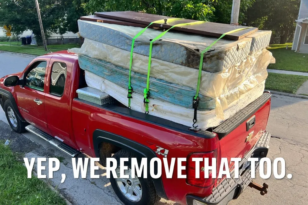 Expert lawn care service for outdoor upgrades across Normal, IL - Cut & Clear