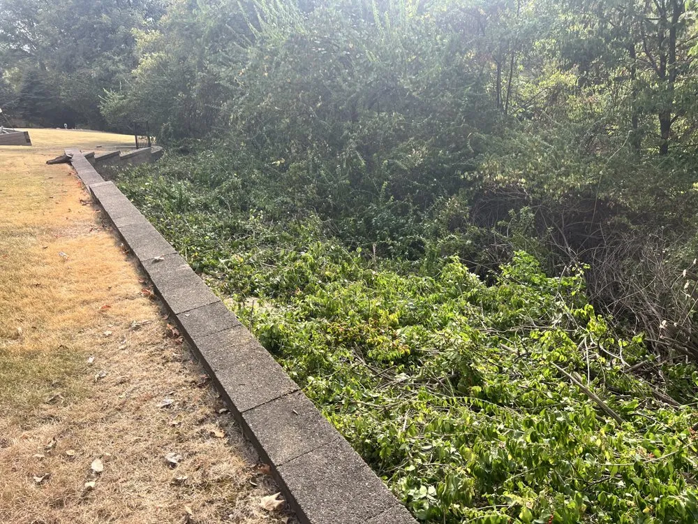 Custom lawn care service in Normal, IL by Cut & Clear