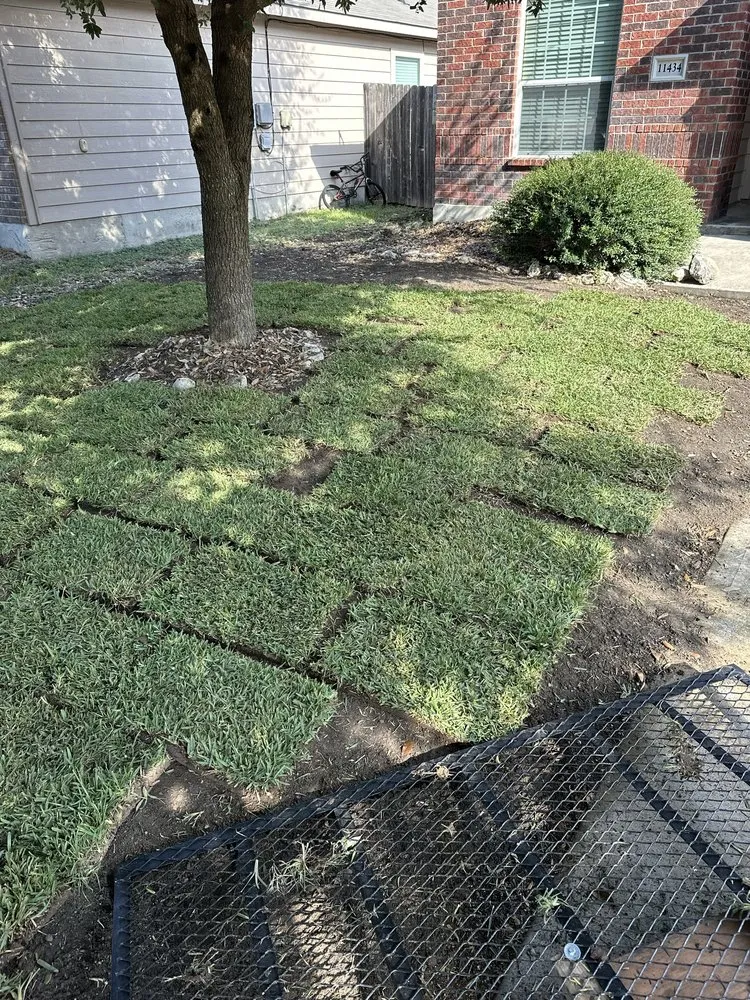 Custom lawn care service in Hondo, TX by Cut & Edge Lawn Care