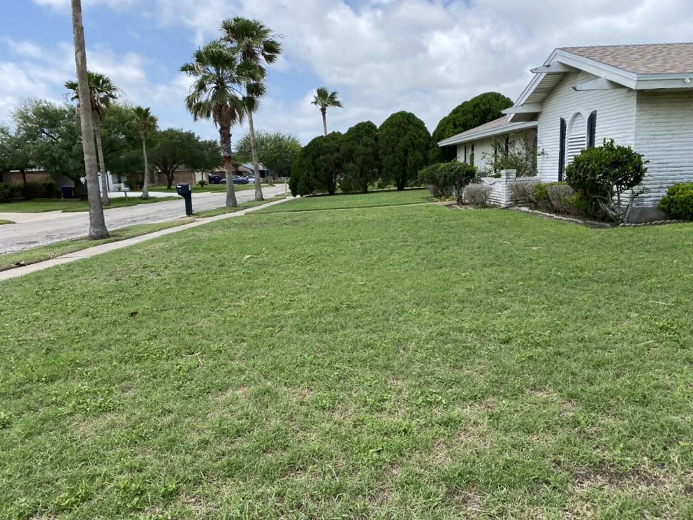 Custom landscaping services in Corpus Christi, TX - Cut & Go Lawn Care