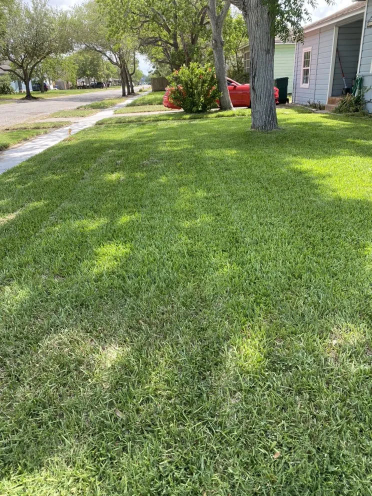 Custom landscaping services for homes across Corpus Christi, TX - Cut & Go Lawn Care