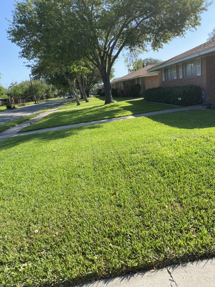 Top-rated yard cleanup service for homes in Corpus Christi, TX by Cut & Go Lawn Care