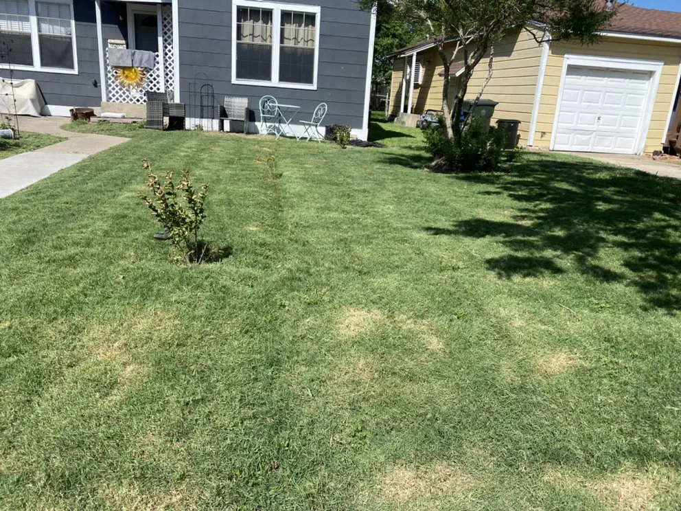 Local yard cleanup service in Corpus Christi, TX by Cut & Go Lawn Care