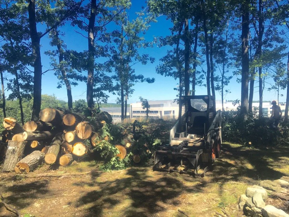 Reliable outdoor landscaping experts serving Stroudsburg, PA - Cut & Go Tree Care