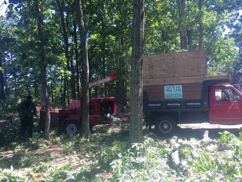 Professional lawn care service for beautiful yards across Stroudsburg, PA - Cut & Go Tree Care